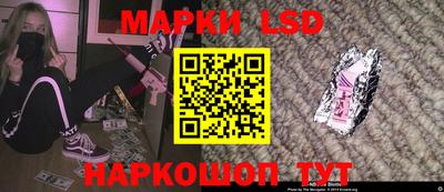 амф Кандалакша