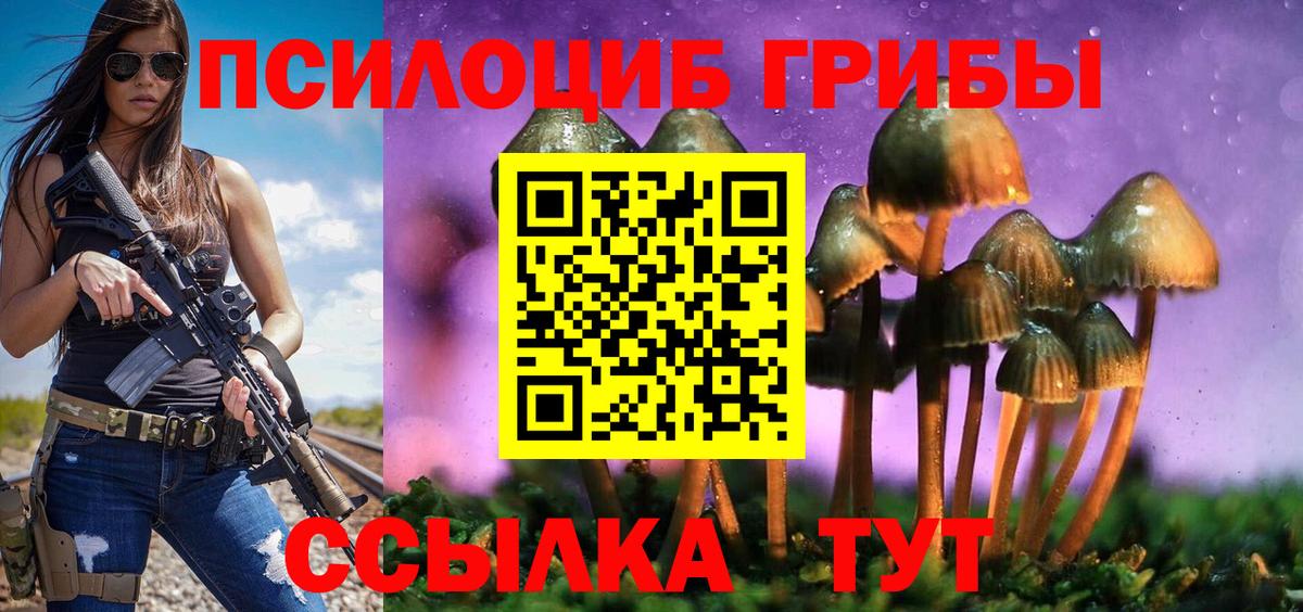 Псилоцибиновые грибы GOLDEN TEACHER  Галлюциногенные грибы Magic Shrooms  Вход с VPN  Кстово 
